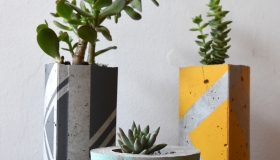 ail+el planters x3