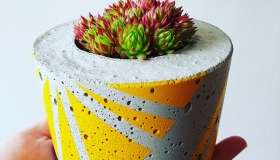 ail+el small concrete planter