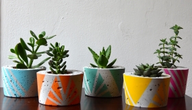 ail+el small planter brights
