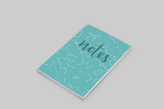 Lisa_McHugo_Notebooks