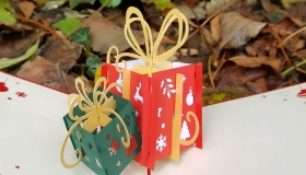 IMG_20181106_112455_244