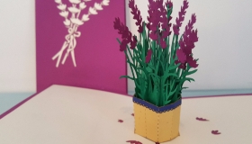 lavender