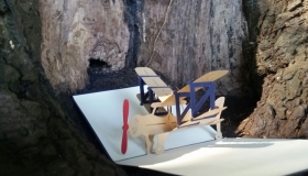paperbear.ie-IMG-20150418-WA0002