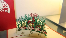 paperbear.ie-pic6