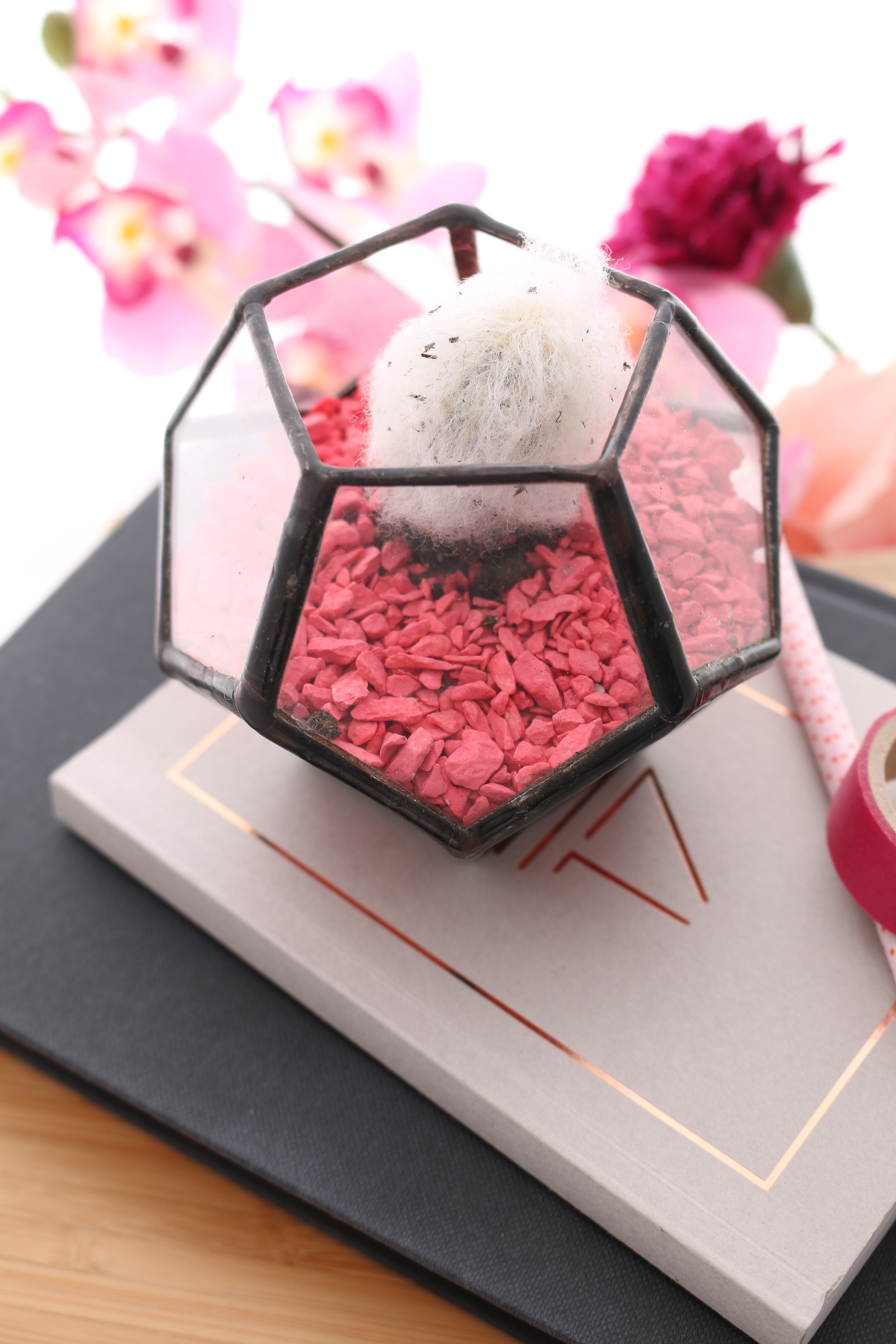 WildBird Studio - Dodecahedron Terrarium