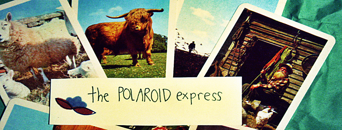 The Polaroid Express stall at the Dublin Flea Christmas Market 2015
