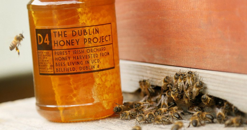 DublinHoney-stall-Dublin-Flea-Christmas-Market-2018