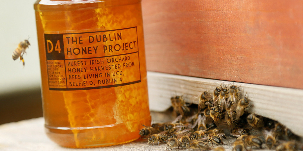 Dublin Honey Project at the Dublin Flea Christmas Market