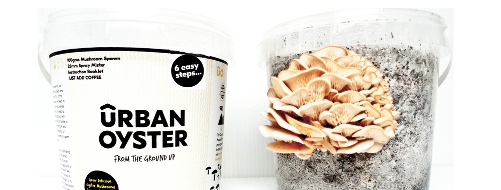 UrbanOyster by UrbanFarm