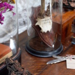 Joy Thorpe Antique stall t the Dublin Flea Christmas Market