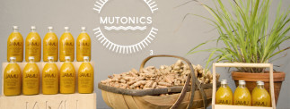 Mutonics Stall at the Dublin Flea Christmas Market