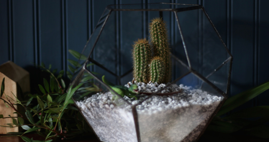 Wild-Bird-Studio-stall-Dublin-Flea-Christmas-Market-2018-weekend-1