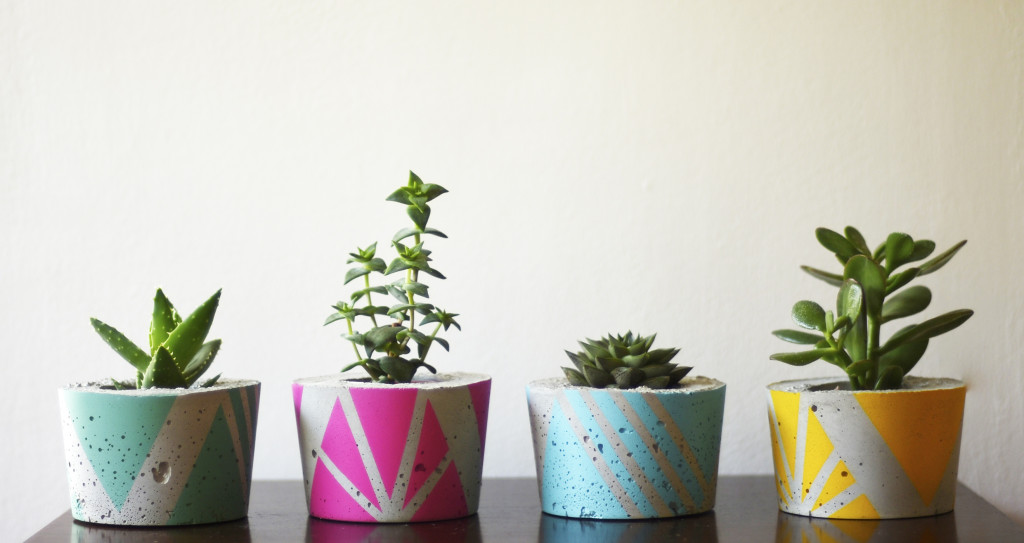 ail-el-small-planters-brights-stall-at-Dublin-Flea-Chrsitmas-Market-2018